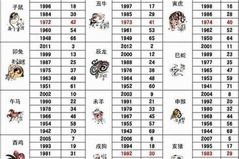 狗出生年份